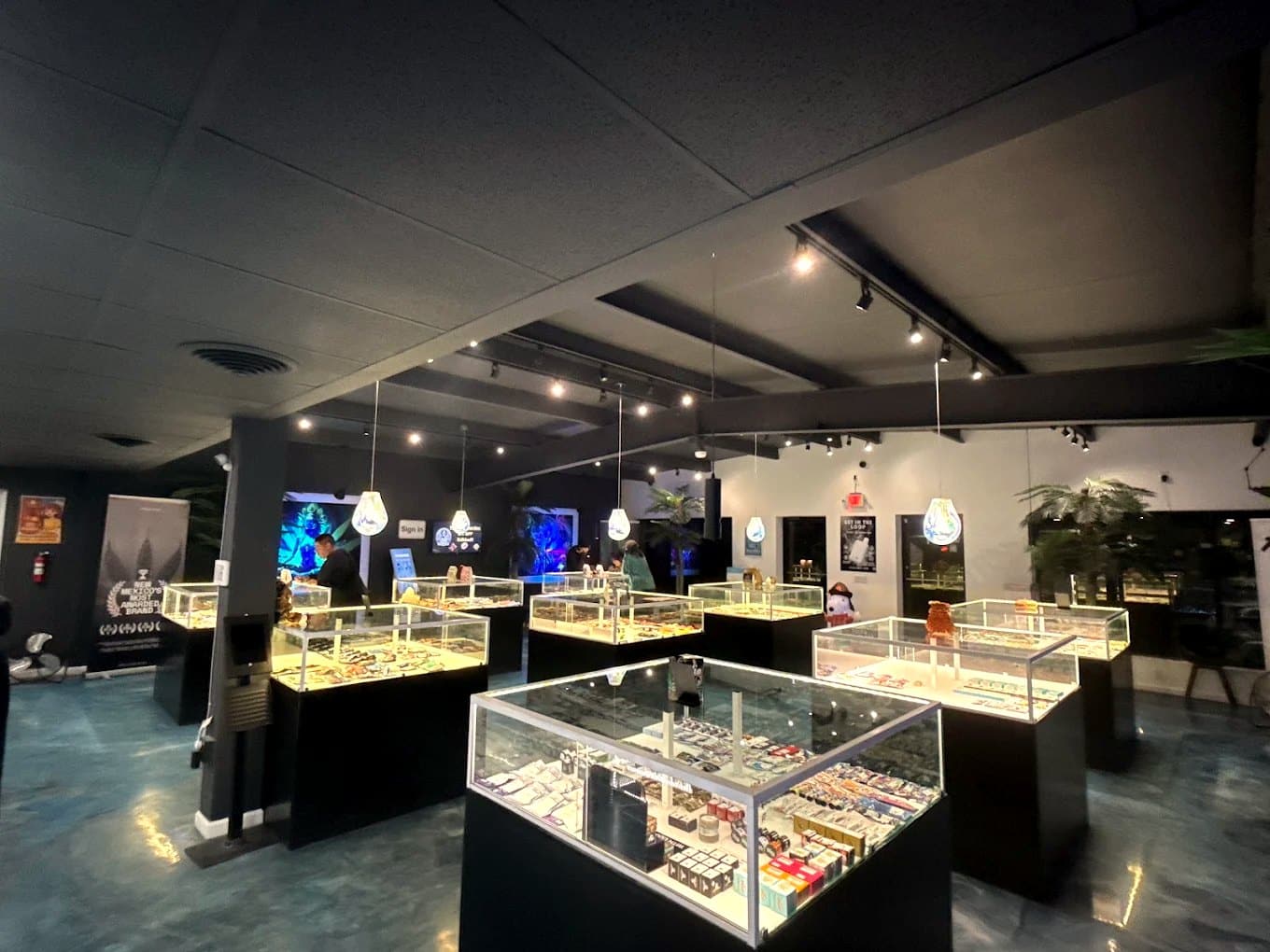 Evening interior of the Canna Buddha Jal dispensary